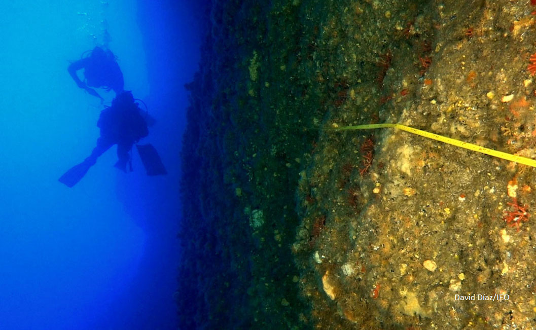 Estudiamos cómo afecta el buceo recreativo en las cuevas marinas de Menorca 