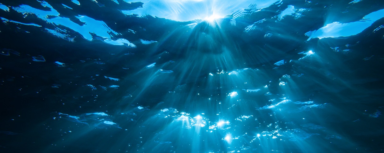 LIFE INTEMARES, premiado por Salvamento Marítimo por su contribución a la conservación de nuestros mares