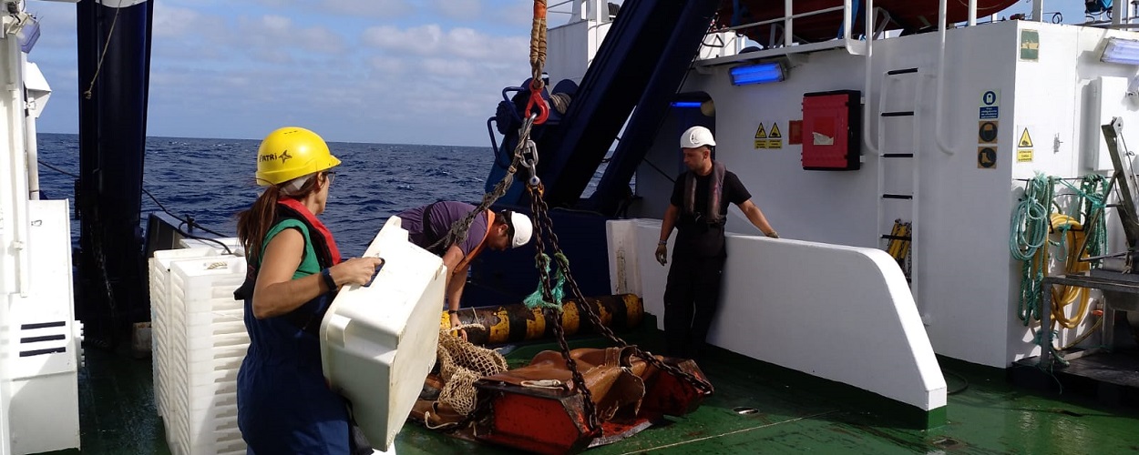 Confirmamos ecosistemas profundos de gran valor ecológico en los montes submarinos del canal de Mallorca
