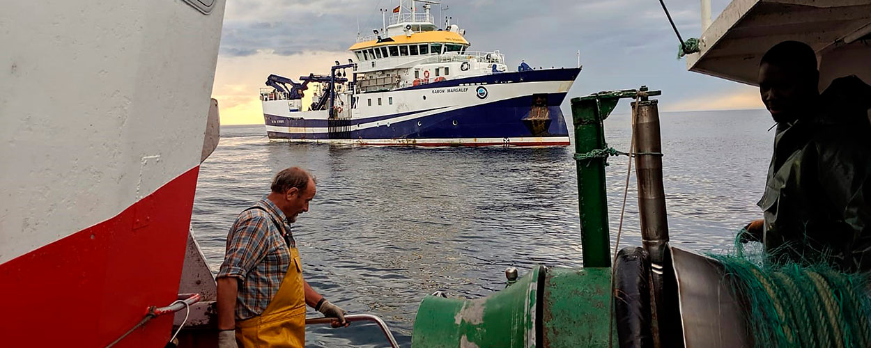 Incorporamos nuevos socios a INTEMARES para avanzar en la ampliación y gestión eficaz de los espacios marinos protegidos