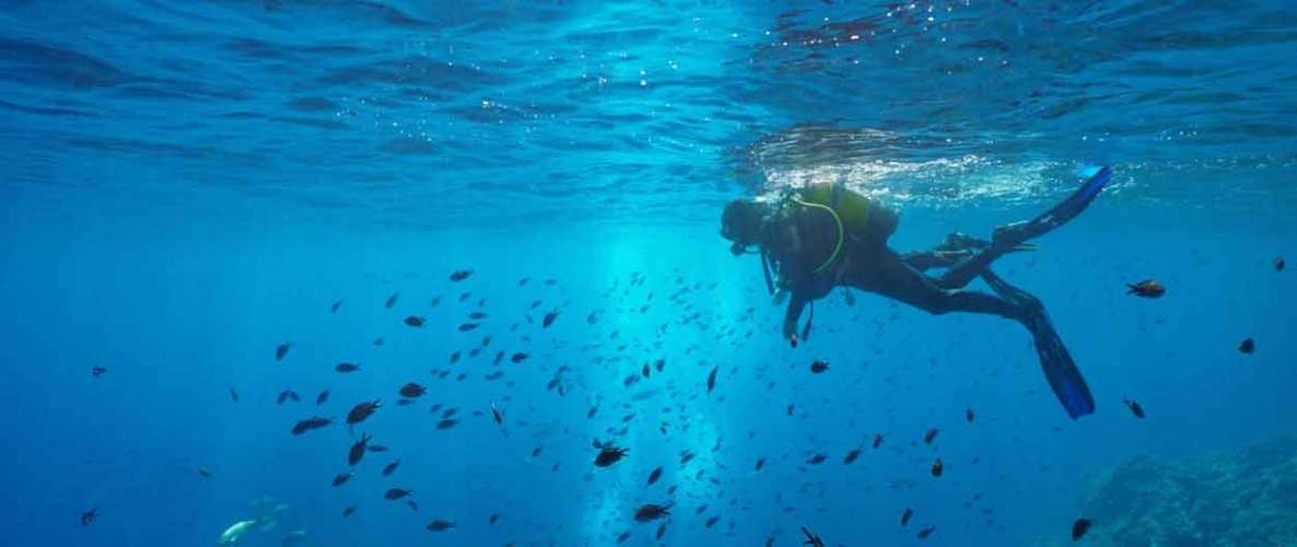 Los servicios de los ecosistemas marinos, esenciales para el bienestar y la economía