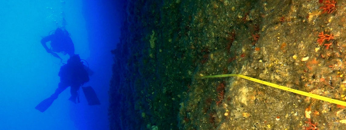 Estudiamos cómo afecta el buceo recreativo en las cuevas marinas de Menorca