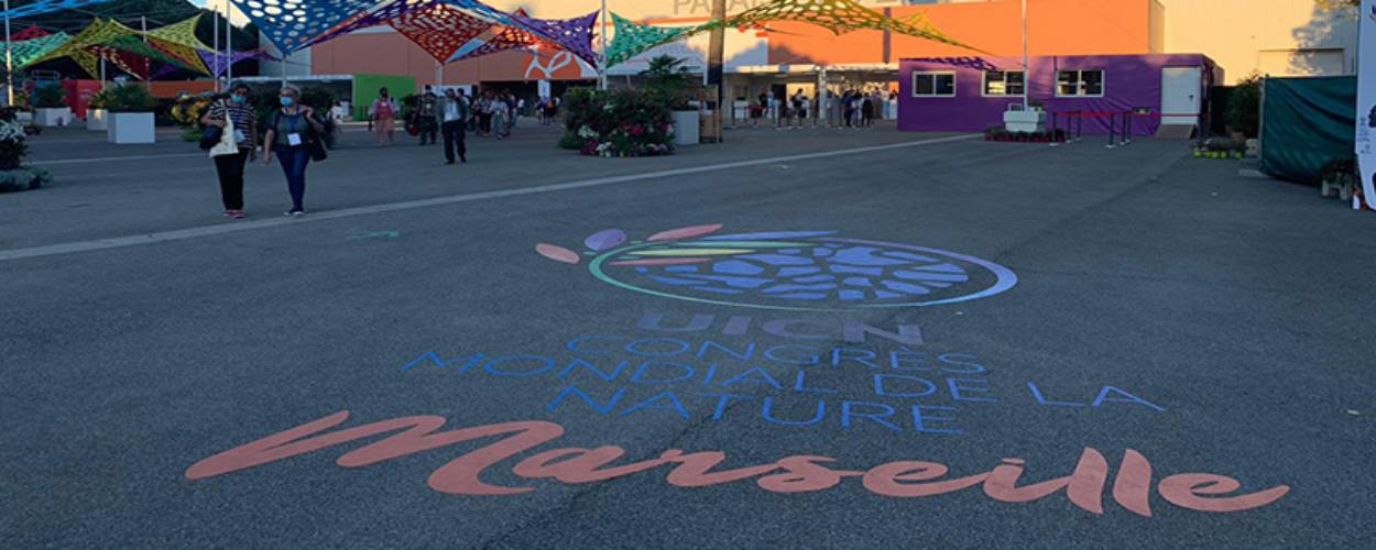 Participamos en el Congreso Mundial para la Conservación de la Naturaleza de UICN